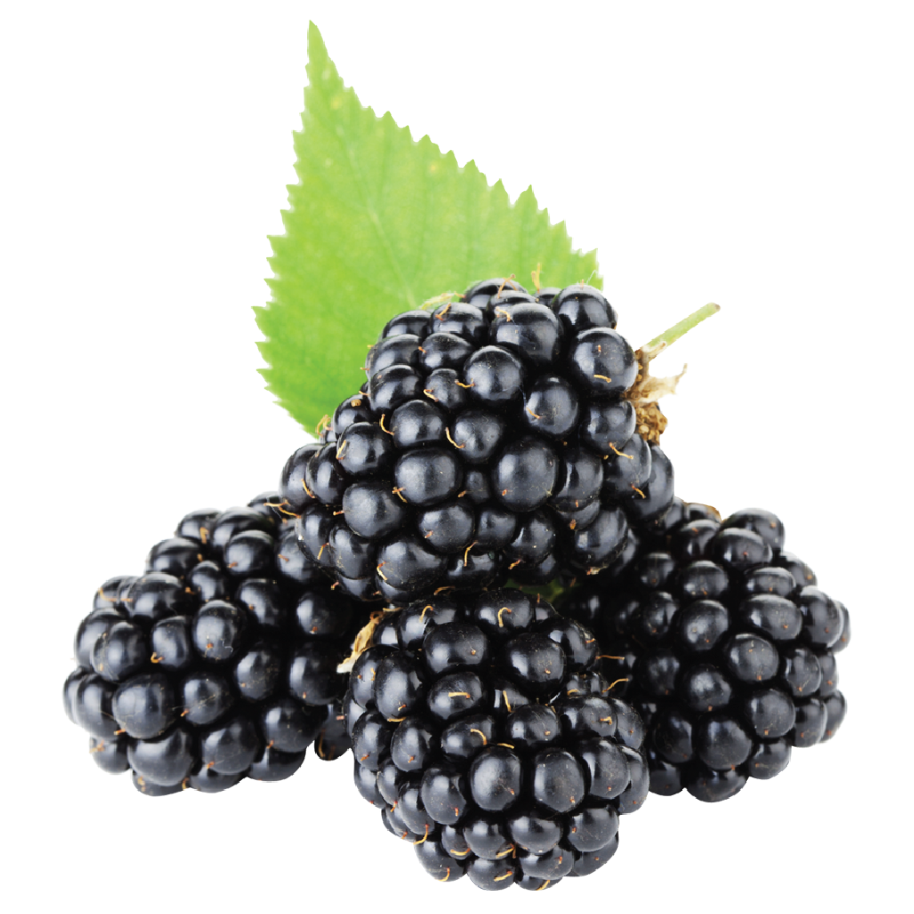 Blackberry - 125g